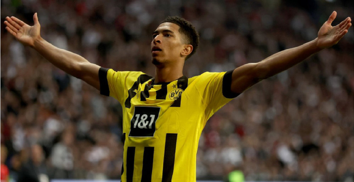 的表现获得 的表现获得